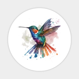 Hummingbird Watercolour Magnet